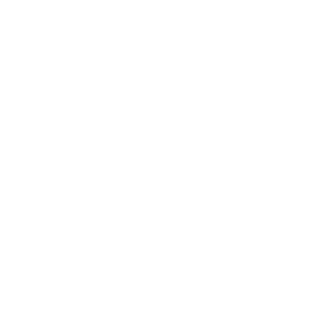 dedicated development team